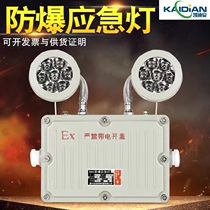 Explosion-proof emergency light LED evacuation sign plate Fire C floodlight petrol station EX explosion proof safety exit indicator light