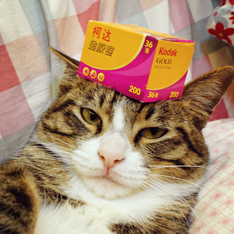 Original overseas version Kodak Gold film Kodak 200 degree 135 color film negative Fresh 2021