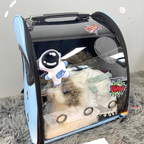 Cat bag out portable cute dog large capacity double shoulder transparent hand blue kitty backpack pet bag breathable