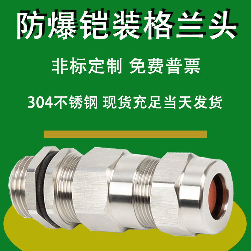 M20 double sealing filler letter G cable fixing 304 stainless steel sheathed explosion proof box filler letter joint 25 Gran N-Taobao