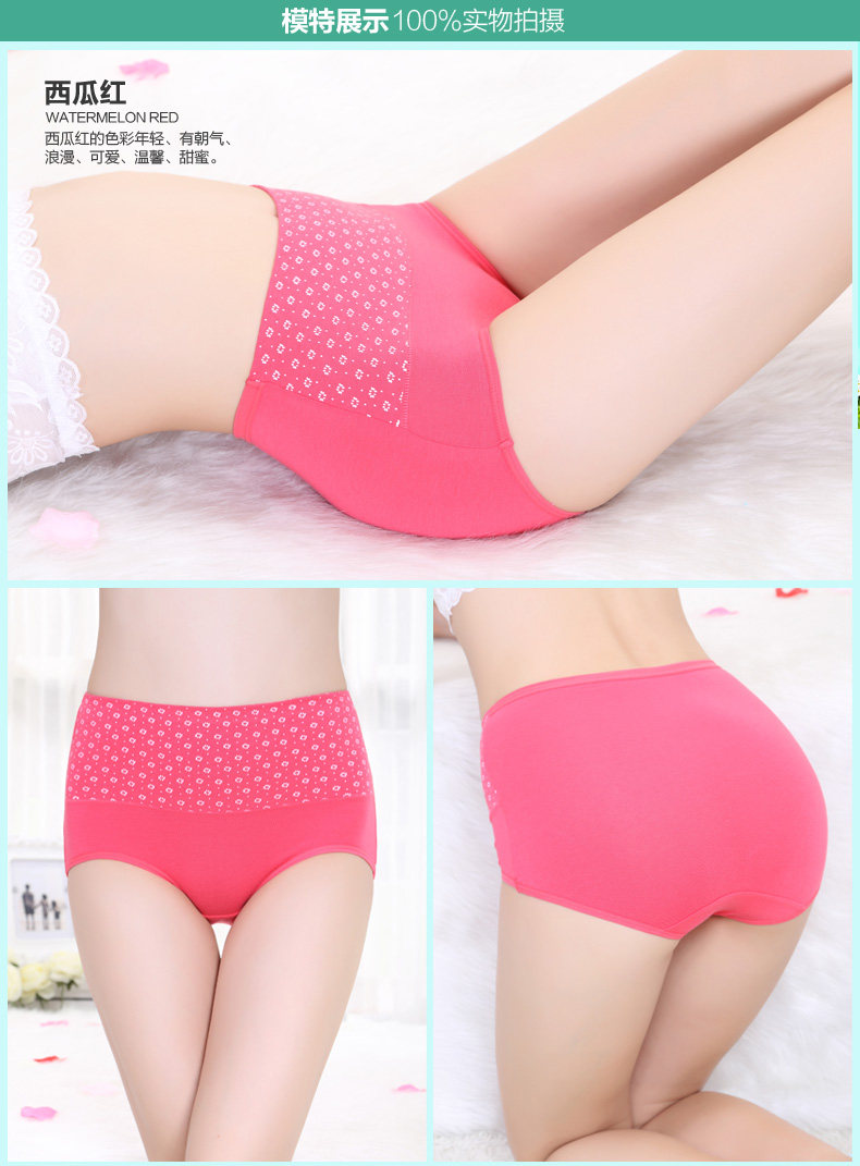 Slip jeunesse en coton - Ref 666593 Image 11