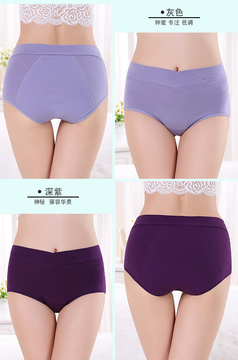 Slip en coton - Ref 666518 Image 16