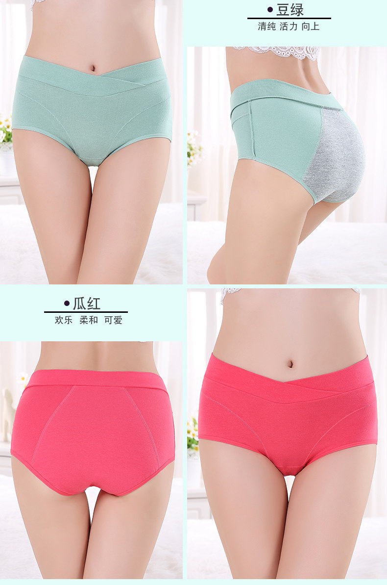 Slip en coton - Ref 666518 Image 14