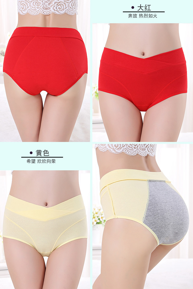 Slip en coton - Ref 666518 Image 18