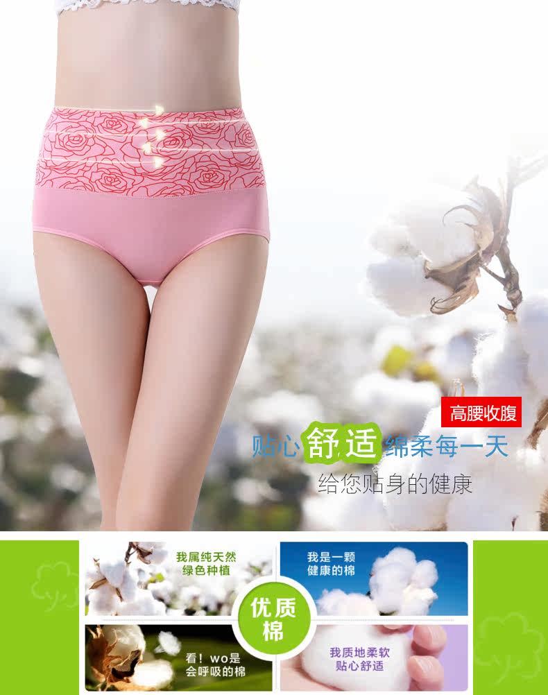 Slip en coton - Ref 666555 Image 6