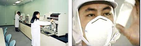 BETTER SHARK Порошок из акульего хряща