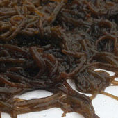 Коричневые водоросли глюкоза гранулы