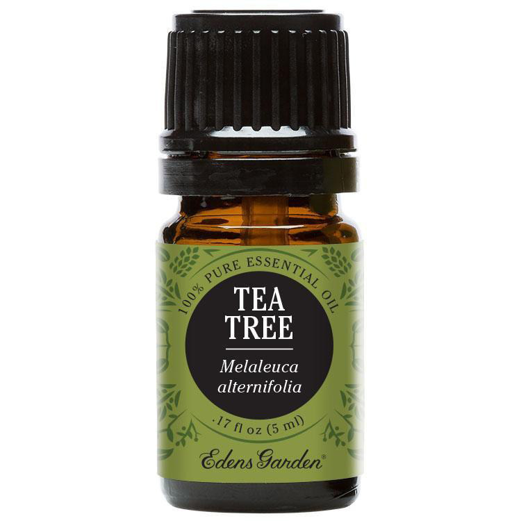 Tea Tree-1.jpg