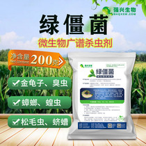 Strong Hing Green Stiff Bacteria Organic Microbial Insecticide Grub Ground Tiger Mole Cricket Golden Tortoise Insect Pests Underground Pest