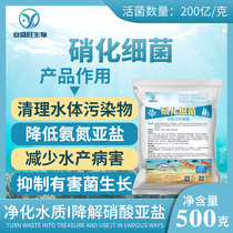 Industry Sheng Wang Nitty Bacteria Aquaculture Water Quality Bottom Modified Bio-Ammonia Nitrogen Nitrite Decomposition Manure Purification