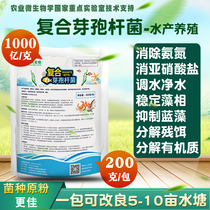 Aquatic complex bacillus raw powder em strain degradation ammonia nitrogen salt hydrogen sulfide water transfer fertilizer breeding probiotics
