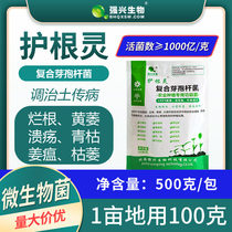 100 billion Bacillus subtilis complex Bacillus wilt rot root ulcer root rot agricultural cultivation microbial bacteria