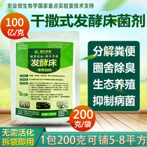 Dry-sprinkled probiotics Qiangxing fermentation bed bacteria Raising chickens Raising pigs Raising ducks Raising snakes Raising cattle Pollution-free breeding technology