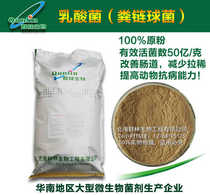 10kg Qunlin bio-lactic acid bacteria (Streptococcus faecalis)improve intestinal absorption and purify water quality
