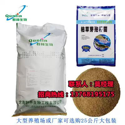 Beihai Qunlin biological aquaculture dedicated 20 billion Bacillus subtilis purification water quality activity is super strong