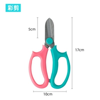 Ножницы с двухцветной ручкой розового и синего цвета.