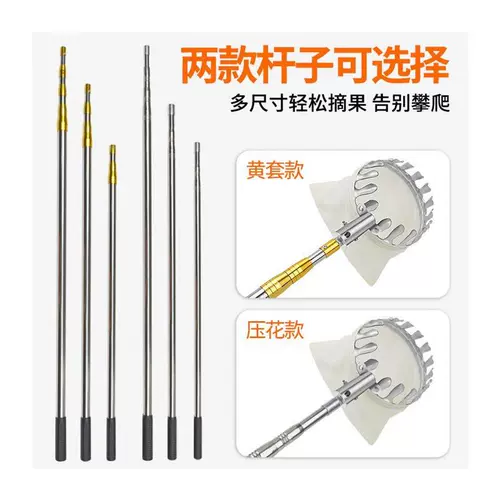 Немецкий Сейко, собирающий стиль, собирая, собирая 20/10 метров толстых деревьев, выбирают каштаны и гранаты