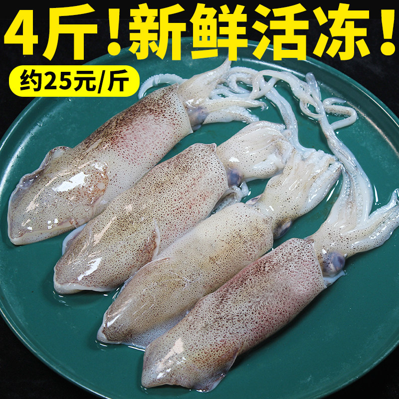 4 pounds of pen tube fish fresh sea rabbit fresh squid fresh squid fresh seafood aquatic