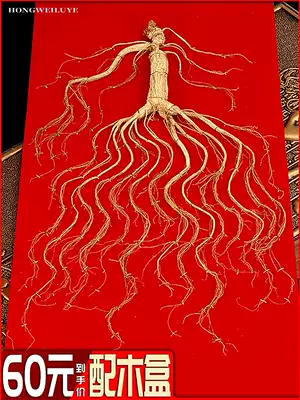 Changbai Mountain Ginseng Gift Box Ginseng Gift Box Mountain Ginseng Wild Mountain Ginseng Transplantation Whole Branches Northeast Special Forest Ginseng