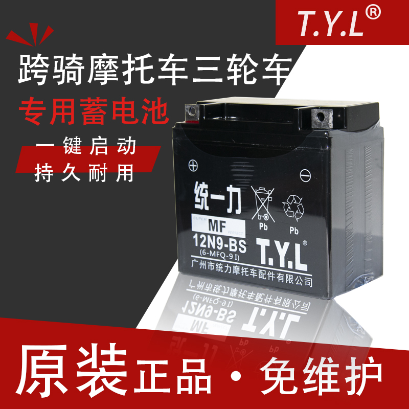 Unified Force TYL125 Locomotive Battery 12V9 Leopard Crown Prince Cross Cycling Universal 12v Battery 12N9-BS