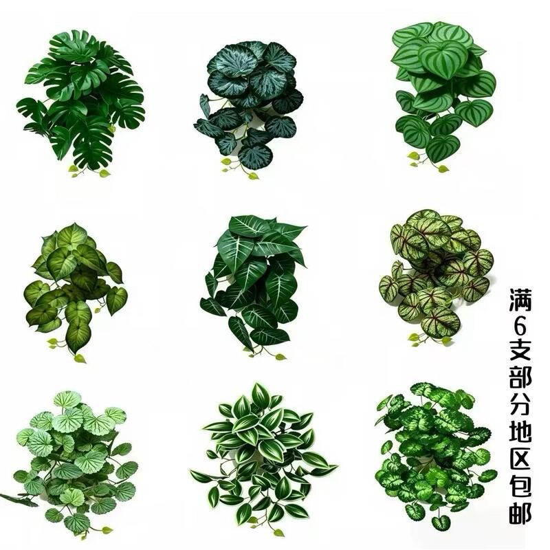 Artificial Green Plant Wall Hanging, Spider Plant, Monstera Leaf, Calla Leaf, Begonia Leaf, Pothos Leaf, Home Landscape Decoration Artificial Green Plant Wall Hanging, Spider Plant, Monstera Leaf, Calla Leaf, Begonia Leaf, Pothos Leaf, Home Landscape Decoration