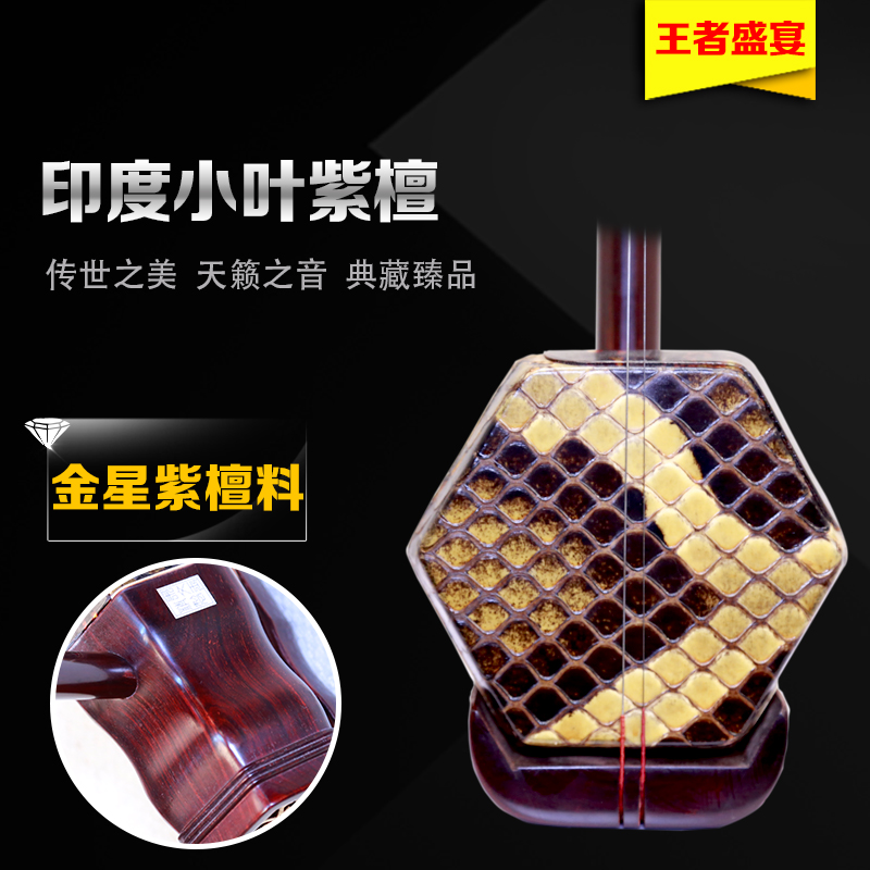 Indian Leaf Zhaosa Old-Ten Adult Children's Beginning Performance Examination of Suzhou Two Hu Instrument