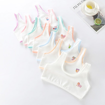 Teenage Girl Underwear Development Opening High School High School Students Smear Vests 9-12-14 Year Old Girl Big Boy Monolayer Cotton Bra