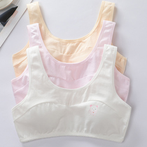 Fat Teenage Bra Underwear Hair Care Period Students Junior High School Harnesses Vest 12 High School 14 Girls 15 -16 years old