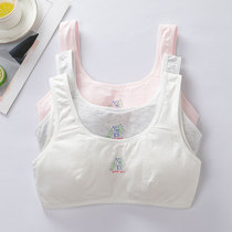 Developmental Adolescence Small Vest Girls Elementary School Girls Elementary School Girls Pure Cotton Underwear Bra Children Girl Inside Wear
