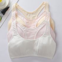 Summer Thin style Breathable Mesh Eyecloth Teenage Girl Student Hair period bra pure cotton bra sport small vest single layer cotton