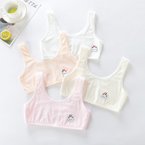 Little Vest Girl Hair Birth Early Birth Girls Adolescent Girls Adolescent Girls Bra Harnesses Elementary School Kids Underwear