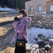 Yang small roll winter stove environmental protection hair imitation Rex rabbit mink fur fur fur hairy short coat womens hooded top