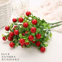 Красные фрукты 10 лучей