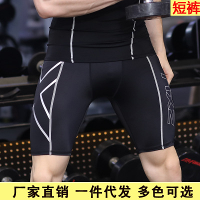2Xu Shorts Compression Five-Point Shorts Sports Tights Yoga Pants Fitness Clothing Running Clothing Cycling Clothing Quick-Drying Shorts