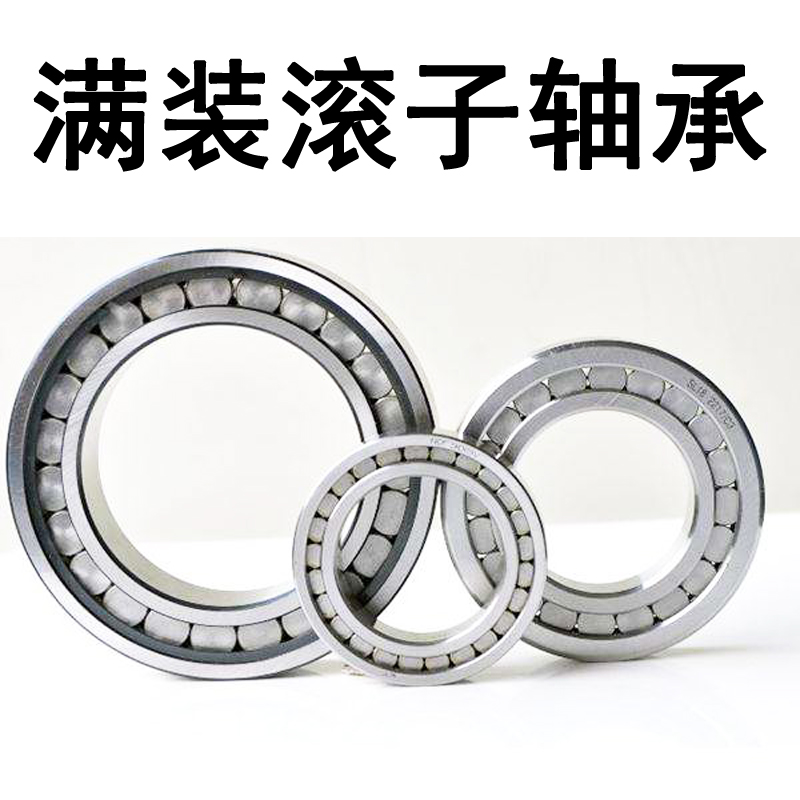 Full roller bearings NF NCF NCL NCF204 205206207208 209EV
