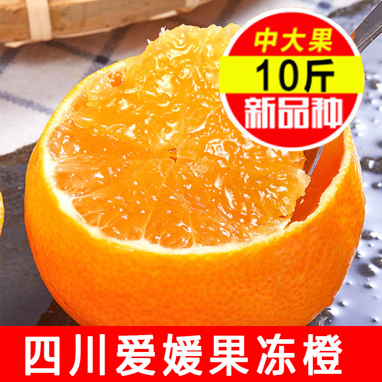 Big fruit 10 pounds Ehime No. 38 jelly orange love round crispy orange fresh seasonal fruit whole box of fresh picked sweet orange shun