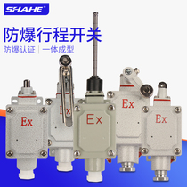Explosion-proof travel switch dlx5-15z type L type B type D Type H type N type explosion-proof switch explosion-proof limit switch