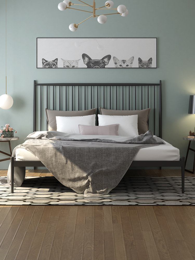 Nordic carbon steel bed thickened single double princess bedroom 1 5 meters 1 8 meters Net red ins wind simple wrought iron bed