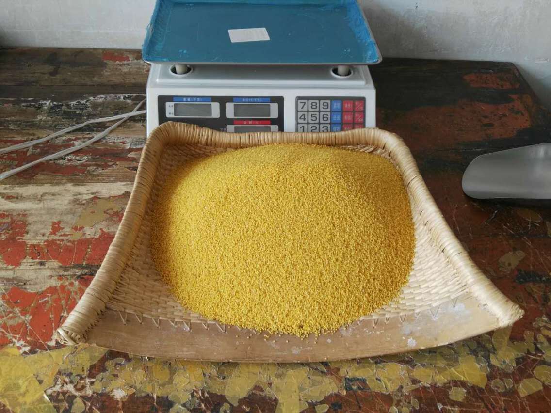 Farmhouse fresh Shanxi Qinzhou yellow millet gold yellow Yi cooked soft glutinous rice oil Multi-sticky now and sold for 500g