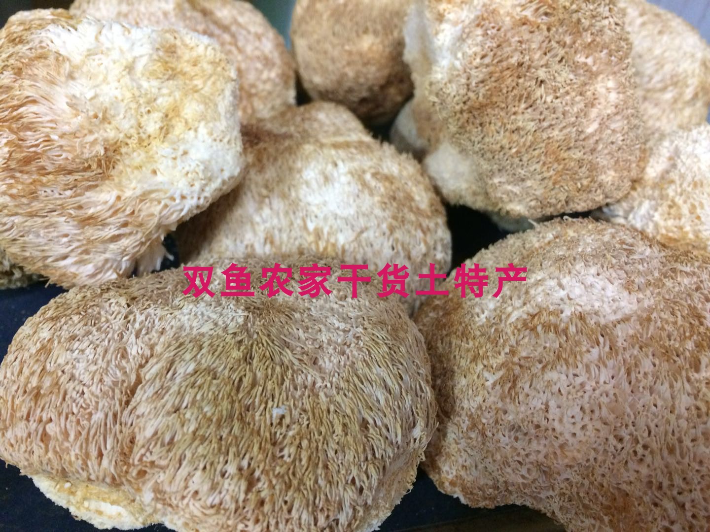 Monkey Head Mushroom Monkey head mushroom Monkey head mushroom Dried Monkey head Mushroom Monkey Head Mushroom Mountain Treasure Monkey Head Seafood Bird's Nest 250g