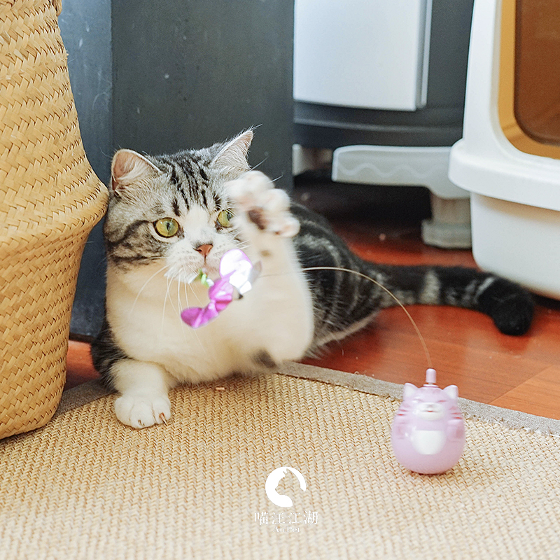 Twist and twist a little bitty cat Dogg Tumbler Tumbler Tease Cat Toy Teasing Cat Stick