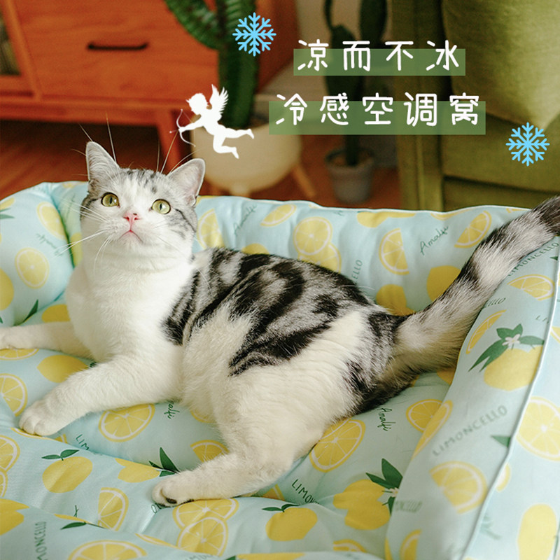 Spring fresh Korean wind Gmarket summer explodes Korean wolly pet ice cushion ice cushion