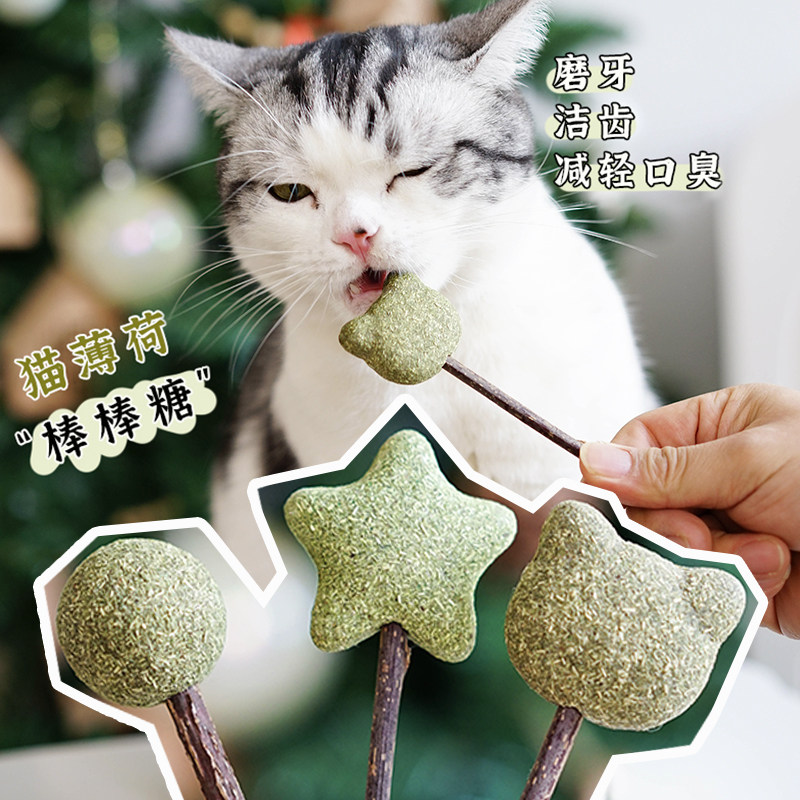 Cat mint lollipop, wooden sky shapes grinding teeth to nibble cat toy snacks