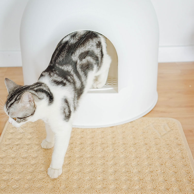 Cat Sand Master Partner Two Fofos Fofos Cat and Sand Mat Cat - sand Mat