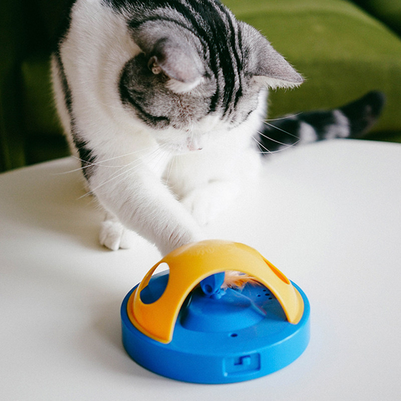 Feather flash whack-a-mole outside single cat electric toy