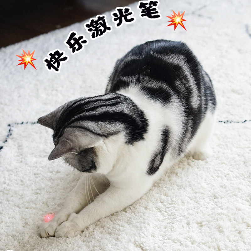 Magic Laser Pen Flash Teasing Cat With Cat Toy Light Ride