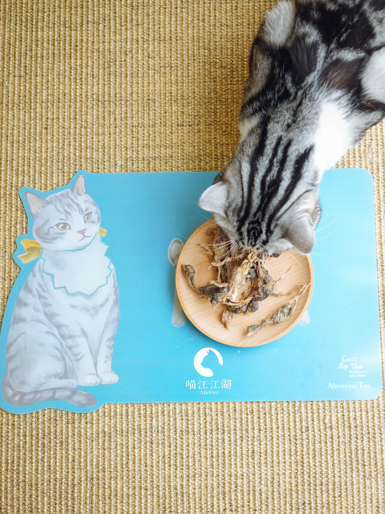 Cats Nap Time Elegant cat placemat Waterproof and dirt resistant Good cleaning