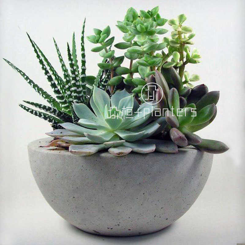 众桓花盆碗状水泥盆圆盆水培土培专用多肉植物荷花专用镁泥盆