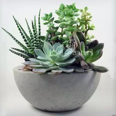 众桓花盆碗状水泥盆圆盆水培土培专用多肉植物荷花专用镁泥盆