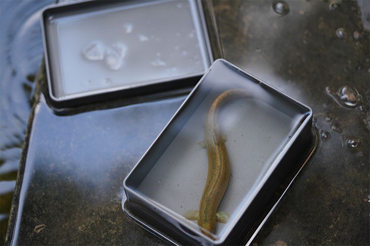 Титановые сплавы супер Коробка выживания ЧПУ ЧПУ один резьба Пустой супер непобедимый edc в коробку Выживание Судного дня 3 